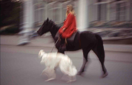 Thöni Design Fotografie